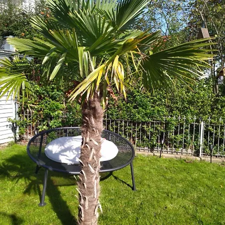 Johner Μπαϊρόιτ